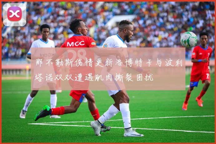 那不勒斯伤情更新洛博特卡与波利塔诺双双遭遇肌肉撕裂困扰