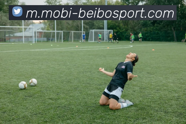 贝博体育平台生态图