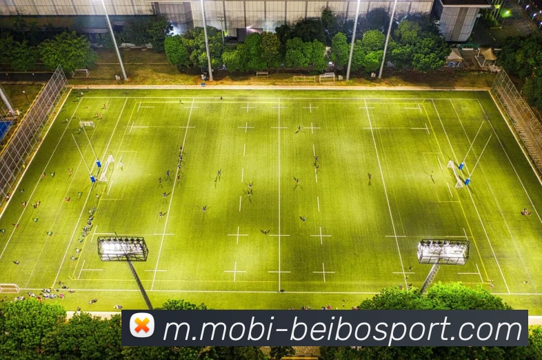 贝博体育APP 封面图